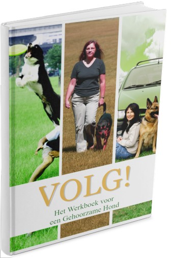 eBook Landing Page
